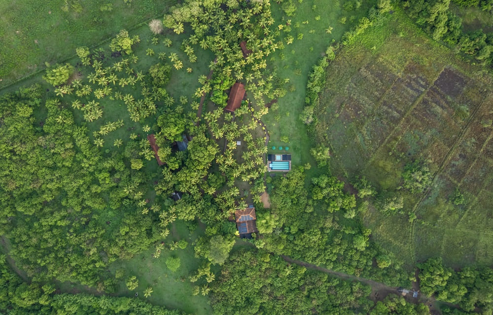 DJI_0170(1)