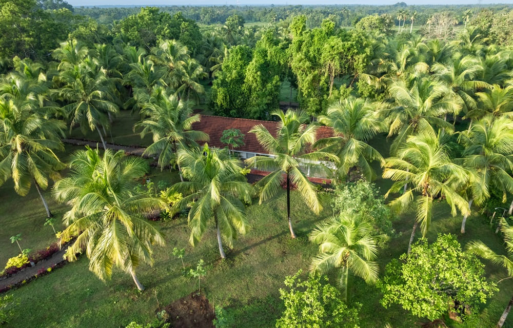 DJI_0181(1)