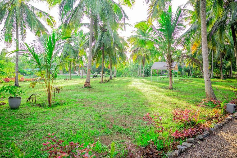 DSC02340-HDR(1)